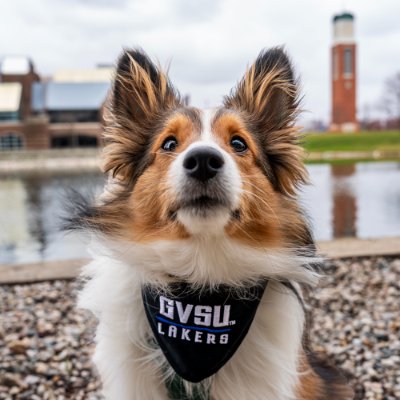 Paws on Campus